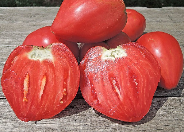 Pomodoro di Belmonte