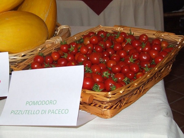 Pomodoro Pizzutello di Paceco