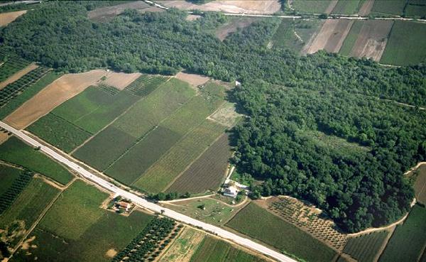 Bosco di Don Venanzio