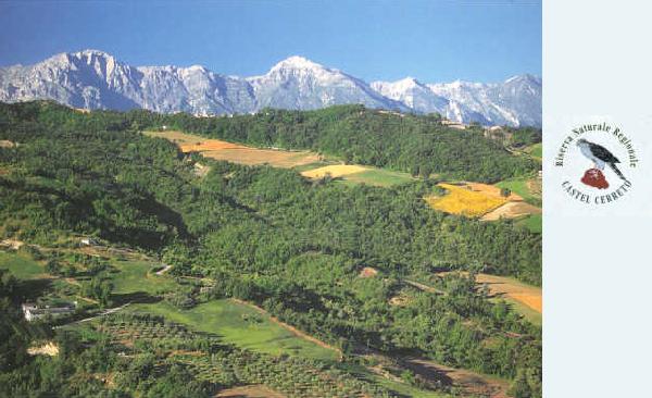 Bosco di Castel Cerreto