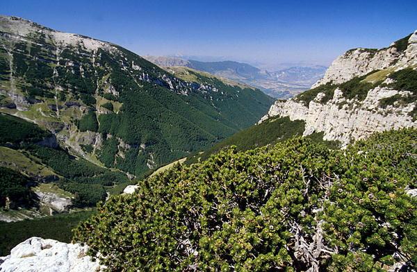 Riserva Naturale Statale Lama Bianca di Sant'Eufemia a Majella