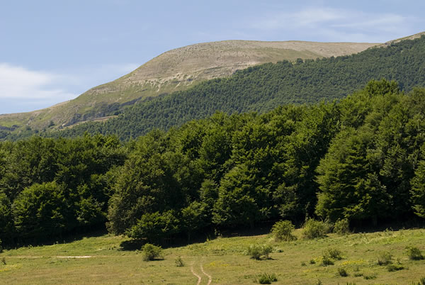 Riserva Naturale Regionale Guidata Monte Genzana e Alto Gizio