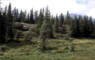 Monte Covolo-Alpe di Nemes