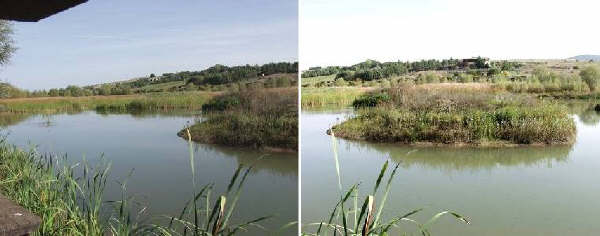 Pantano di Pignola