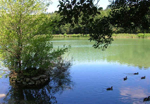 Lago di Mongiana