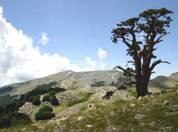 Parco Nazionale del Pollino