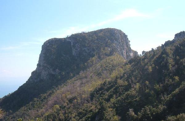 Monte Falerio