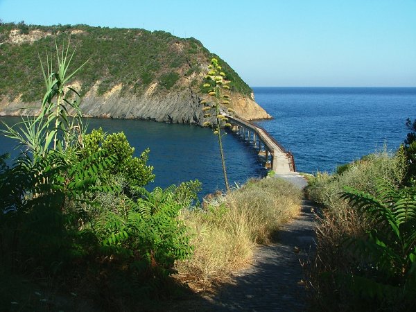 Pontre tra Vivara e Procida