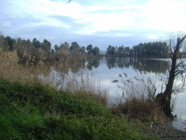 Lago Falciano
