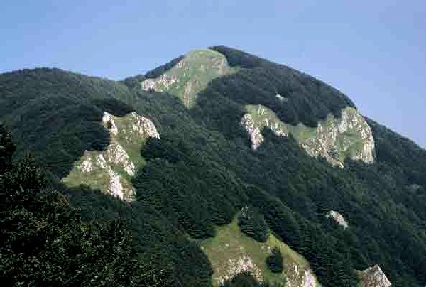 Monti d'Avella