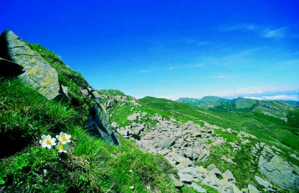 Parco Naturale Alte Valli del Cedra e del Parma