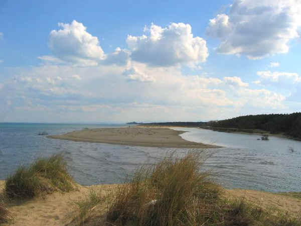 Duna e foce torrente Bevano