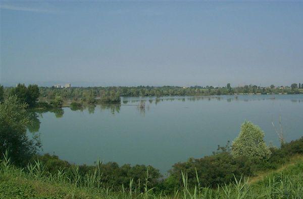 Riserva Naturale Regionale Casse di espansione del Fiume Secchia