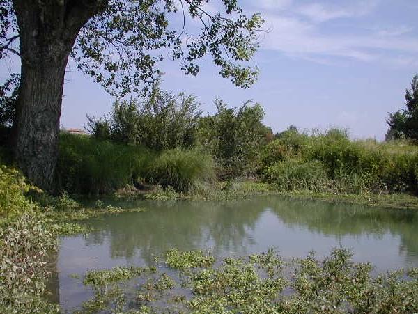 Lago Bottazzo