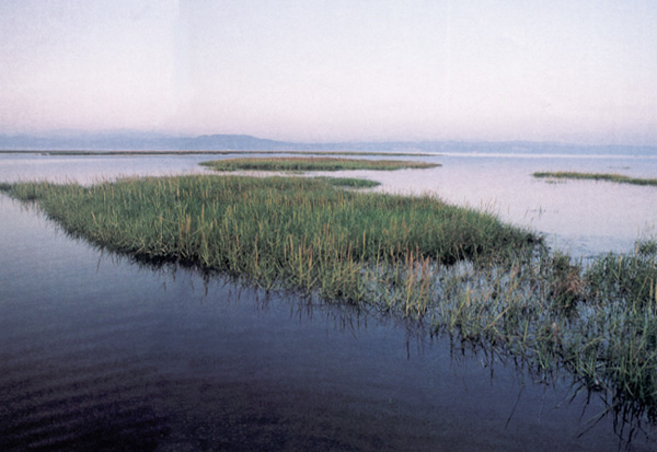 Laguna alla foce del fiume Isonzo