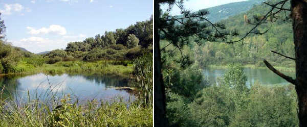 Lago di Doberdo' - Lago Pietrarossa