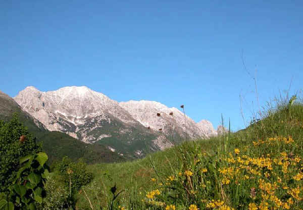 Monte Canin