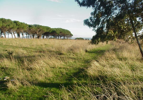 Colata di Capo Bove