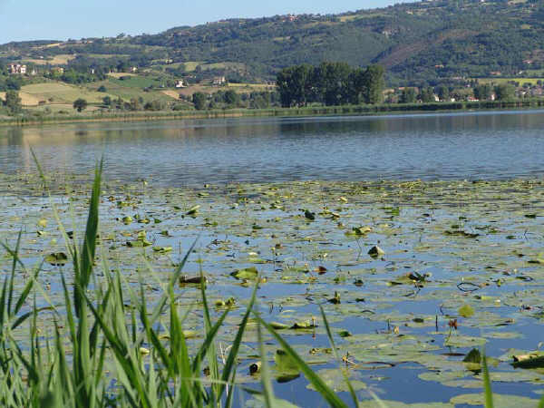 Lago Lungo