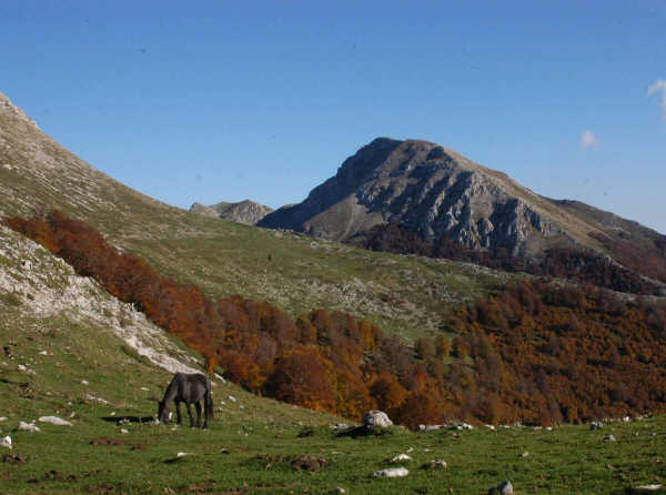 Prateria con Monte Murolungo sullo sfondo