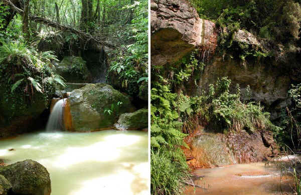 Torrente Bicione - Cascata Diosilla