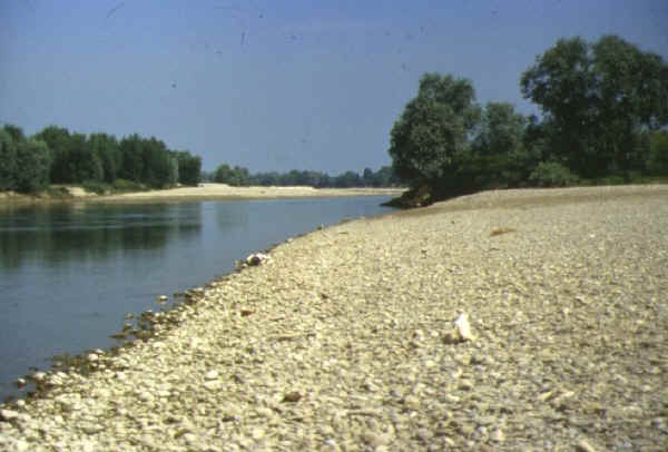 Greto del fiume Adda