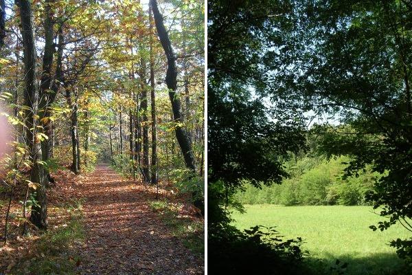 Parco Naturale Pineta di Appiano Gentile e Tradate