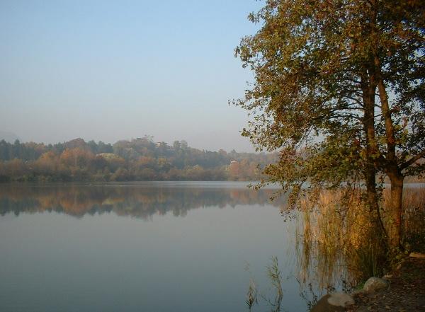Riserva Naturale Regionale Lago di Sartirana
