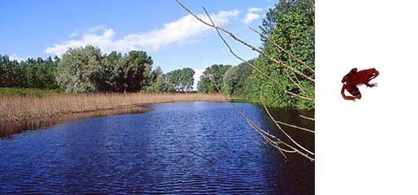 Riserva Naturale Regionale Oasi WWF Le Bine