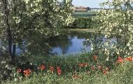 Bodrio della Cascina di Santa Margherita