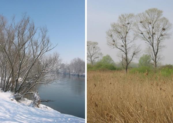 Parco Naturale Oglio Sud