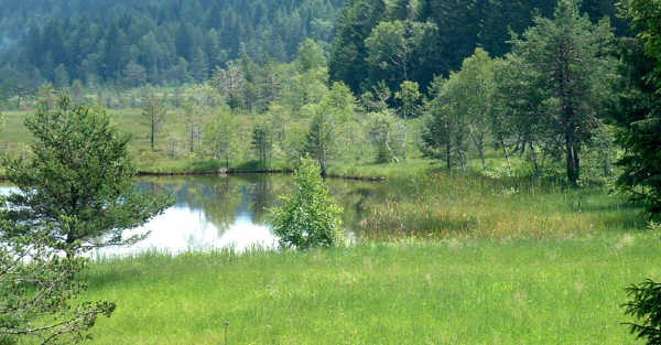 Riserva Naturale Pian Gembro