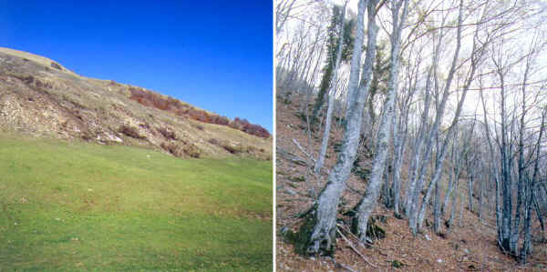 Riserva Naturale Statale Montagna di Torricchio