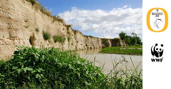 Riserva Naturale orientata Ripa Bianca di Jesi