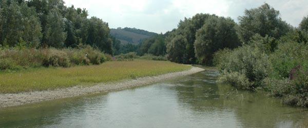 Riserva Naturale orientata Ripa Bianca di Jesi