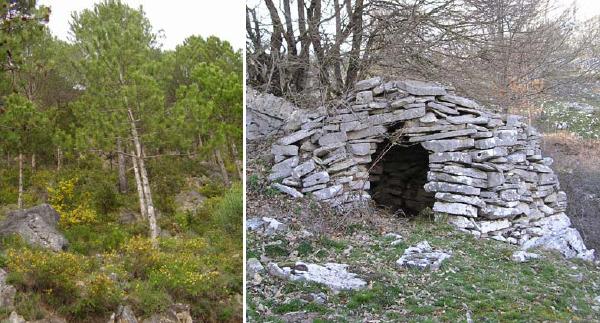 Riserva Naturale Biogenetica Orientata Statale Pesche