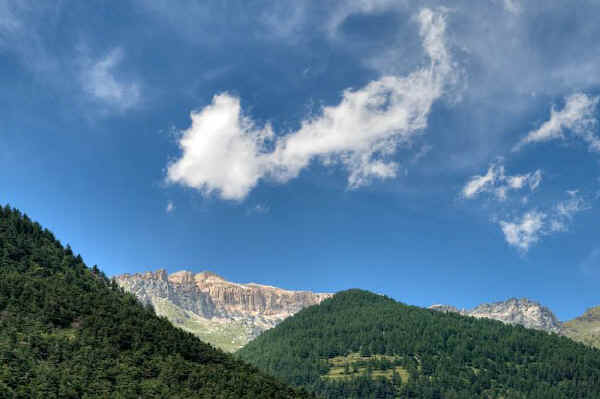 Parco Naturale Gran Bosco di Salbertrand