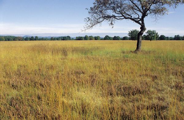 Riserva Naturale Regionale Le Baragge