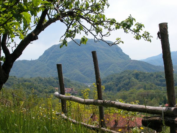 Monte Fenera dalla frazione Carega