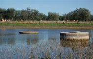 Laghi di Conversano