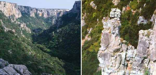 Oasi Lipu Gravina di Laterza 