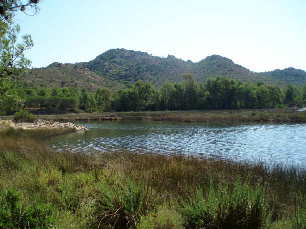 Parco Naturale Biderosa - Stagno Sa Curcurica