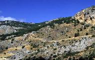 Monte Genuardo e Santa Maria del Bosco