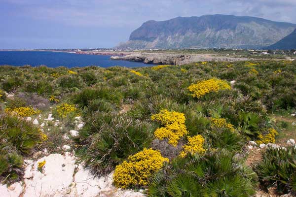 Riserva Naturale Capo Rama