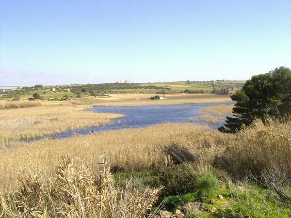 Riserva Naturale Lago Preola e Gorghi Tondi