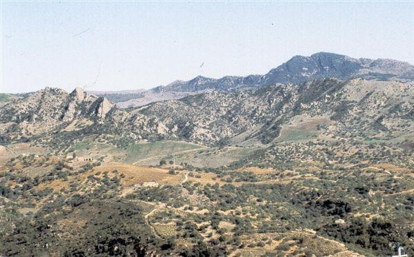 Monte Altesina