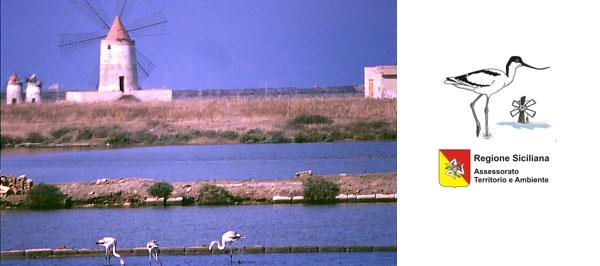 Riserva Saline di Trapani e Paceco