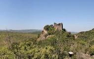 Foresta di Berignone-Tatti