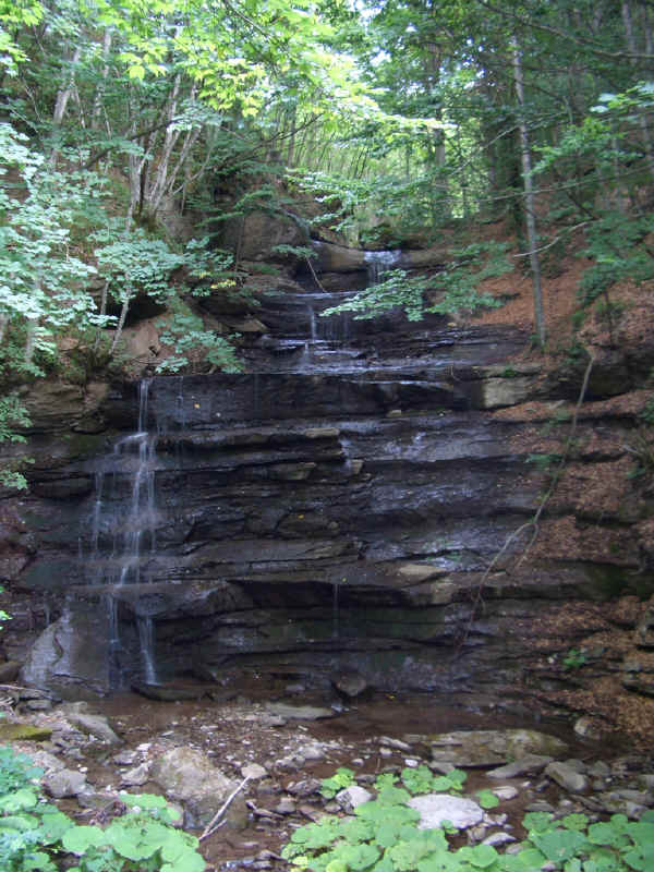 Cascata nelle Riserva di Badia Prataglia