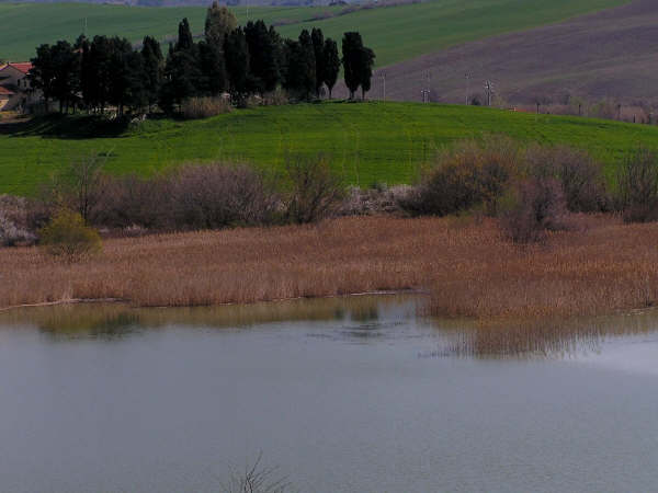 Lago di Santa Luce